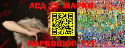 прущие грибы Абакан