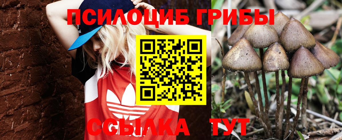 наркота  Вход с VPN  Алексеевка  Псилоцибиновые грибы Magic Shrooms 